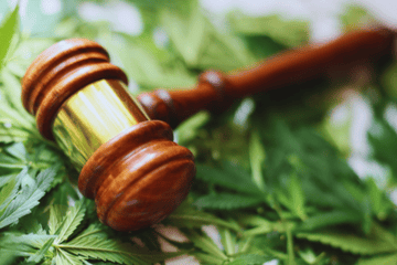 2026 Federal Hemp Ban: What It Means for Your BSA Program
